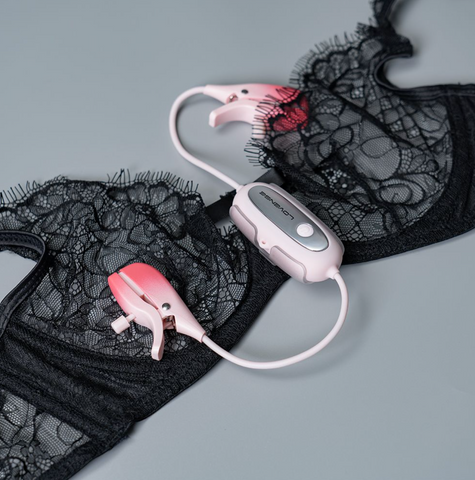 Lovense | Gemini - Pink