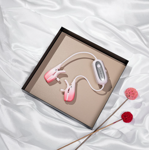 Lovense | Gemini - Pink